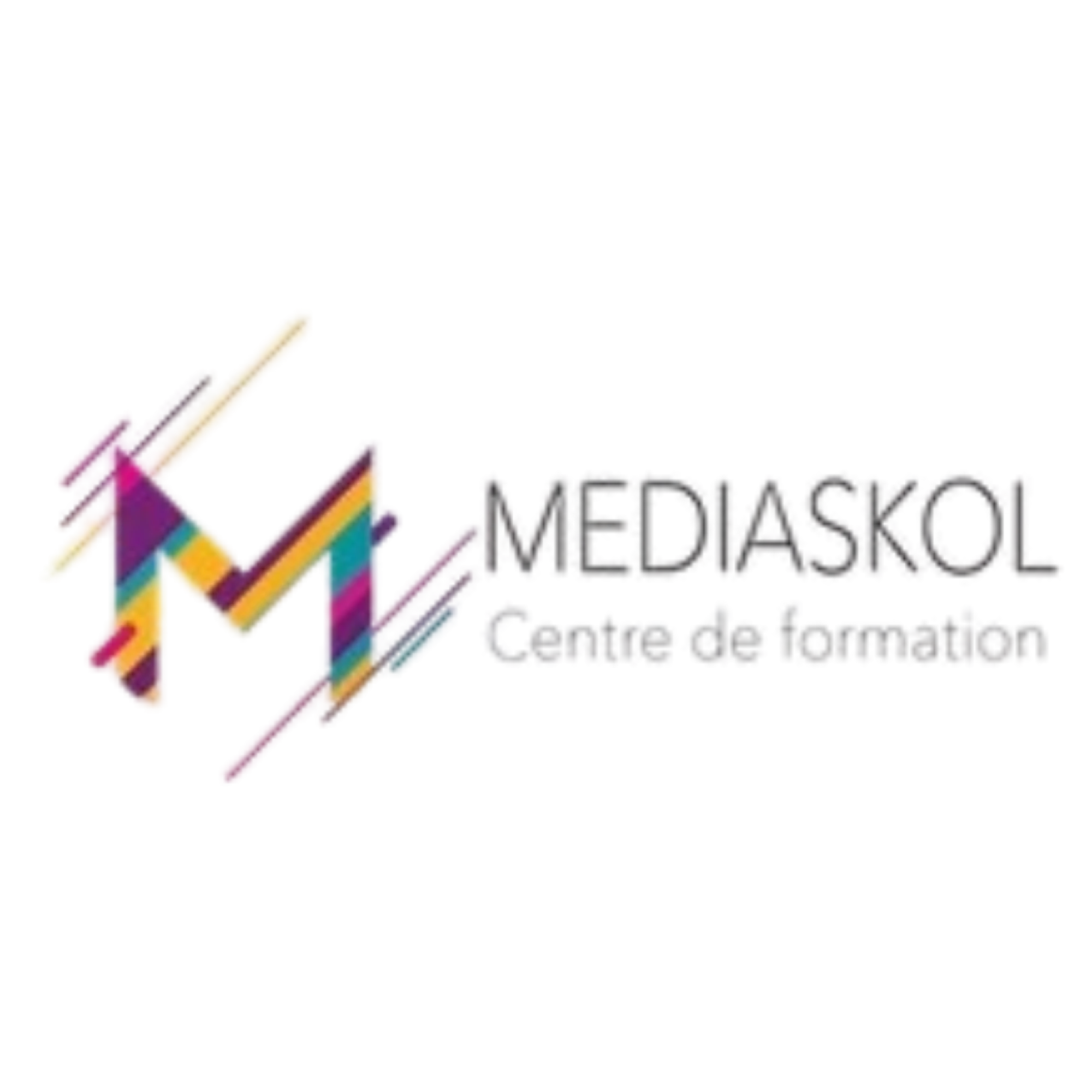Mediaskol